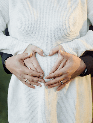 Procesos de fertilidad
